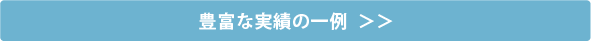 豊富な実績の一例  ＞＞