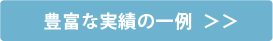 豊富な実績の一例  ＞＞